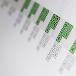 _DSC0365Elasticsearch
